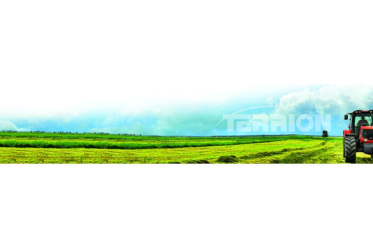 Terrion